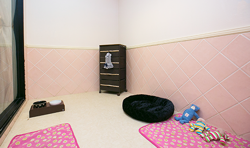 hotel-image01