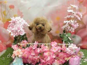 IMG_6400
