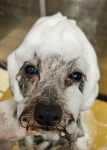 20250607_172609 (002)