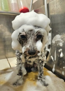 20250607_172707 (002)