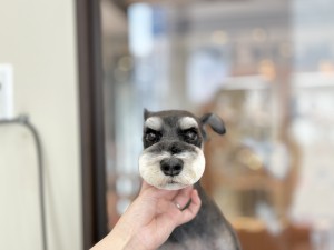 IMG_7037