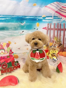 2025-7-2 鈴木ルイくん①