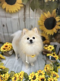IMG_1820