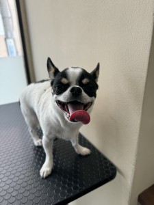 IMG_3633