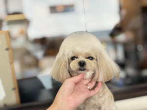 IMG_7992