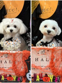 E3615777-512F-4174-8E8C-51C69A97A97A