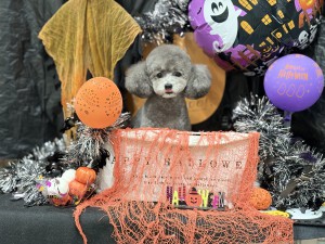 IMG_8578