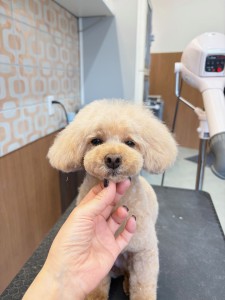 2026-1-26　古島こはるちゃん②