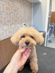 2026-1-26　古島こはるちゃん③