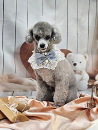 Polish_20260303_133412195