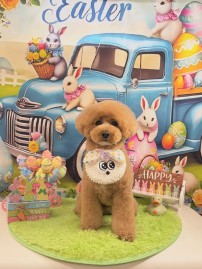 2026-3-21鈴木ルイ②