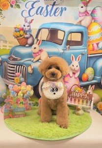 2026-3-21鈴木ルイ②