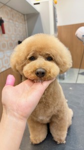 2026-3-21鈴木ルイ③