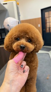 2026-3-25　鈴木ハリーくん①