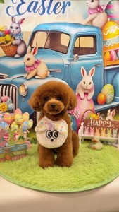 2026-3-25 鈴木ハリーくん