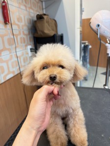 2026-3-3　伊藤サラちゃん②