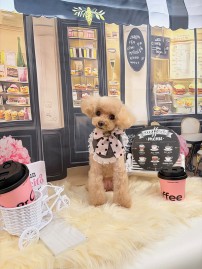 2026-3-3　伊藤サラちゃん①