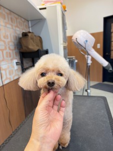 2026-3-3　伊藤サラちゃん③