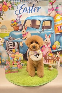 2026-3-21 鈴木ルイ