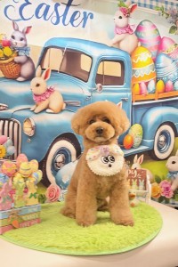 2026-3-21鈴木ルイ①