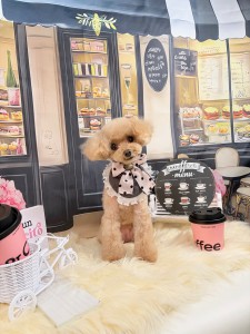 2026-3-3 伊藤サラちゃん