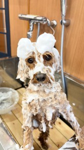 2026-3-21鈴木ルイ⑤