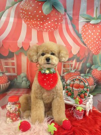 2026-4-8河口むぎちゃん②