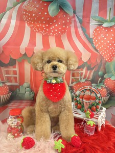 2026-4-8河口むぎちゃん②