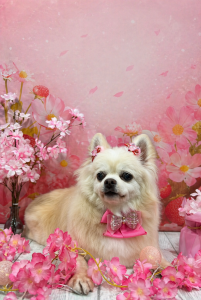 CEF487E7-CADD-4107-B864-116F29ACED11