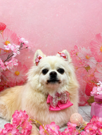 E8FC1AD4-3FEA-4720-BF14-25A47E86D94B