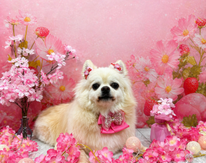 E8FC1AD4-3FEA-4720-BF14-25A47E86D94B