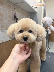 2026-5-21河口むぎちゃん②