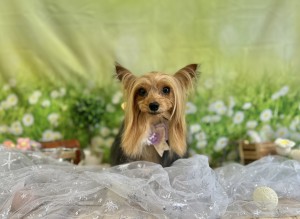IMG_3443