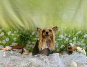 IMG_3446