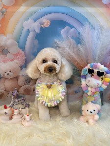 IMG_2780