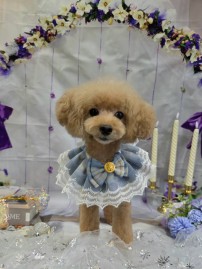 IMG_2790