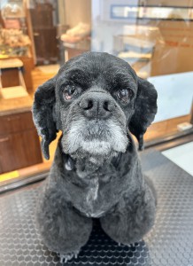 IMG_3974
