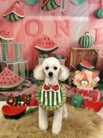 IMG_4327