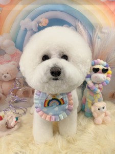 image0