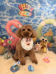 2026-7-22 富永まる