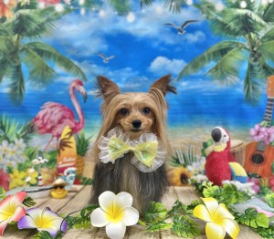 IMG_4408