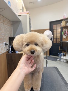 2026-7-1　河口むぎちゃん③