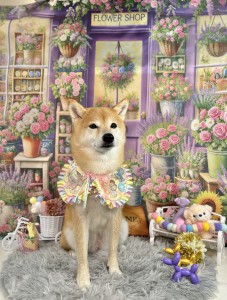 IMG_6222