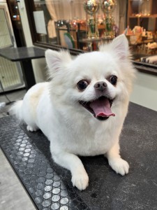 20261007_183041